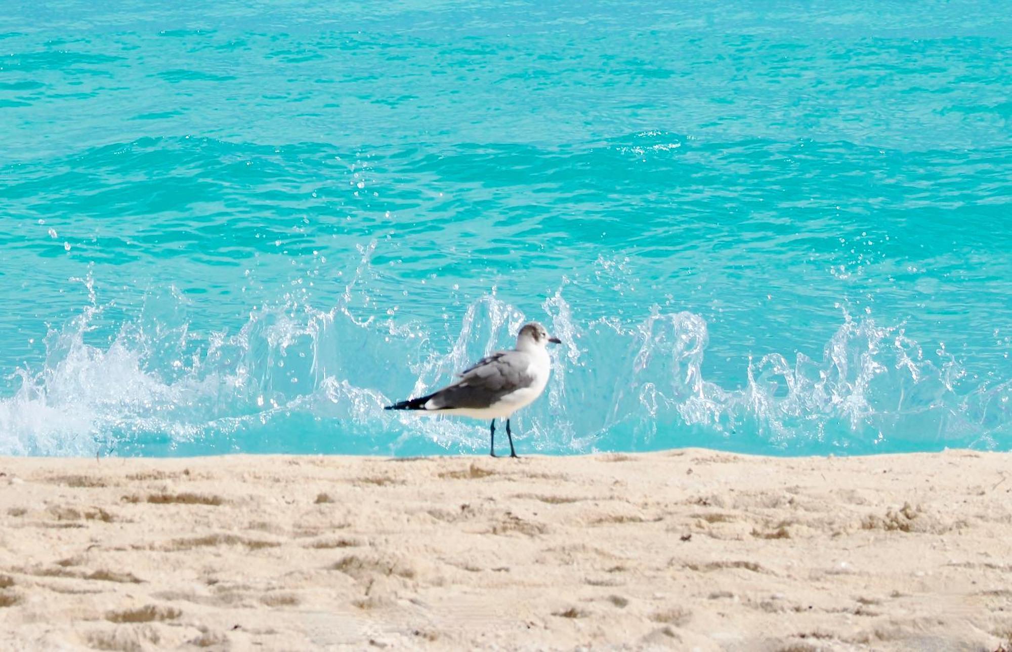 Solymar Beach Condos Cancun Luaran gambar
